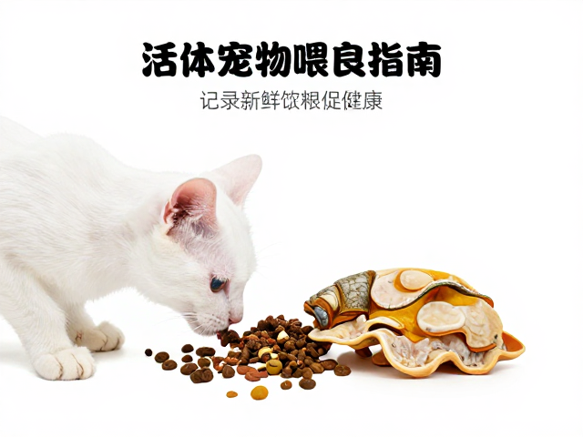 活体宠物喂食指南，记录蜕皮周期，投喂新鲜饲料促健康