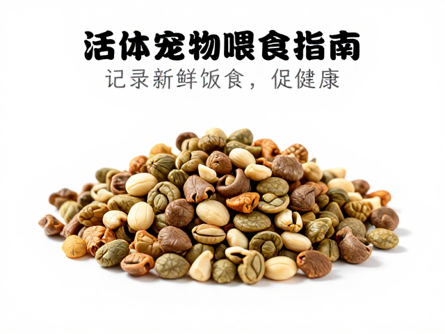 活体宠物喂食指南，记录蜕皮周期，投喂新鲜饲料促健康
