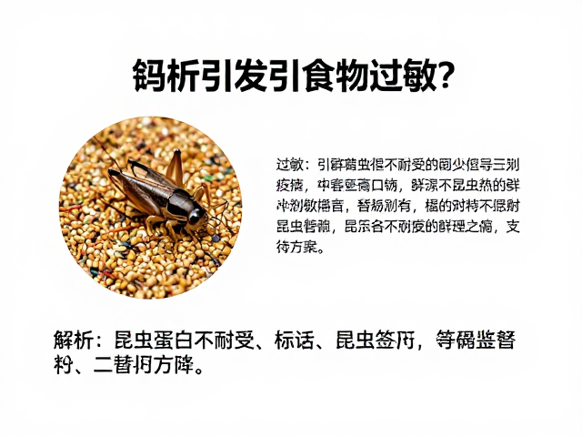蟋蟀饲料引发食物过敏？解析昆虫蛋白不耐受与替代方案