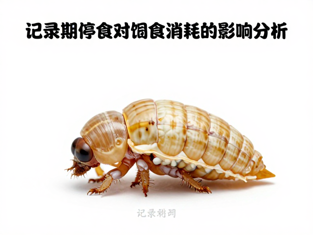 记录蜕皮周期，蜕皮期停食对饲料消耗的影响分析