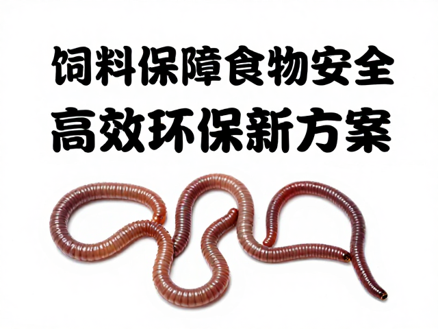 蚯蚓处理饲料保障食物安全，高效环保新方案