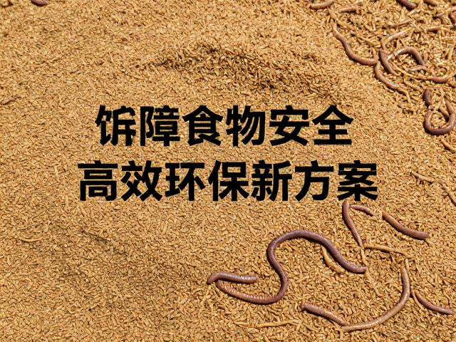 蚯蚓处理饲料保障食物安全，高效环保新方案