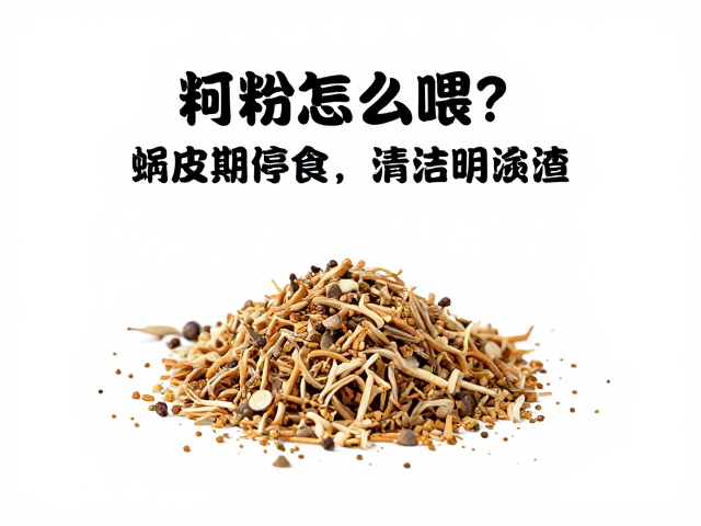 饲料怎么喂？蜕皮期停食，清洁食渣，避坑指南