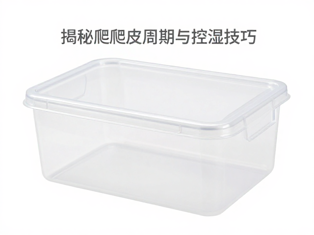 塑料饲养盒怎么监测湿度？揭秘爬宠蜕皮周期与控湿技巧