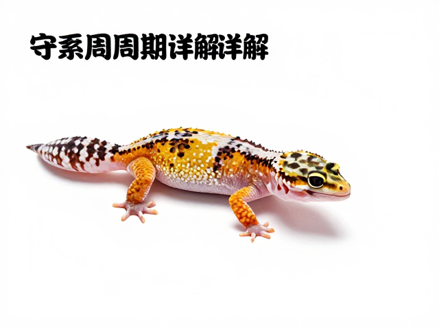 守宫蜕皮周期详解，旧表皮脱落过程，蜕皮后体色为何更鲜艳？