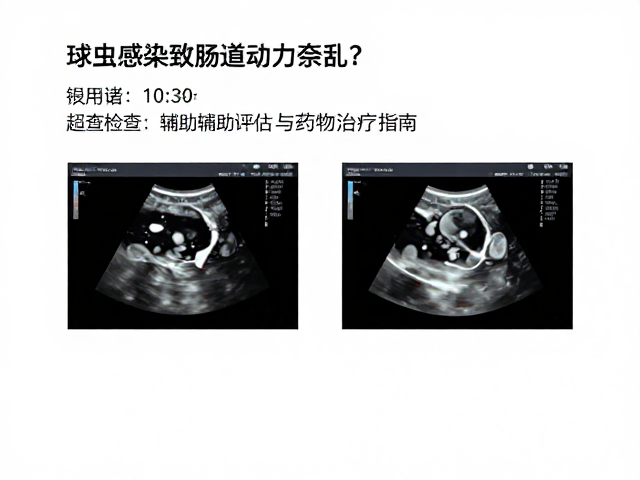 球虫感染致肠道动力紊乱?超声检查辅助评估与药物治疗指南