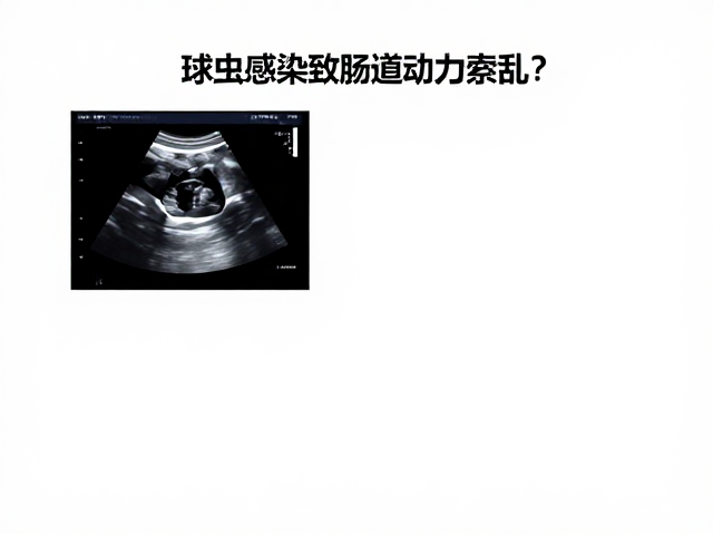 球虫感染致肠道动力紊乱?超声检查辅助评估与药物治疗指南