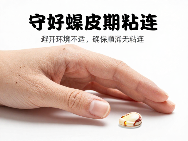 守好蜕皮期！避开环境不适，确保顺利无粘连