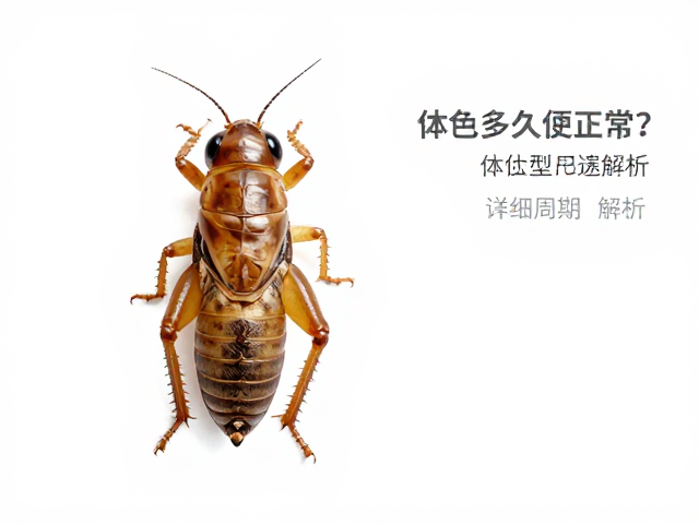 蟋蟀蜕皮后体色多久恢复正常？详细周期解析