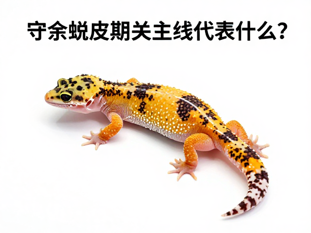 守宫蜕皮期关节白线代表什么？附体长测量技巧与周期解析