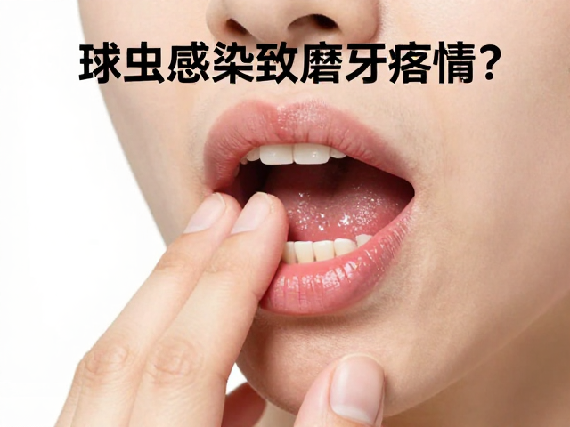 球虫感染致磨牙疼痛?温湿度控制助缓解