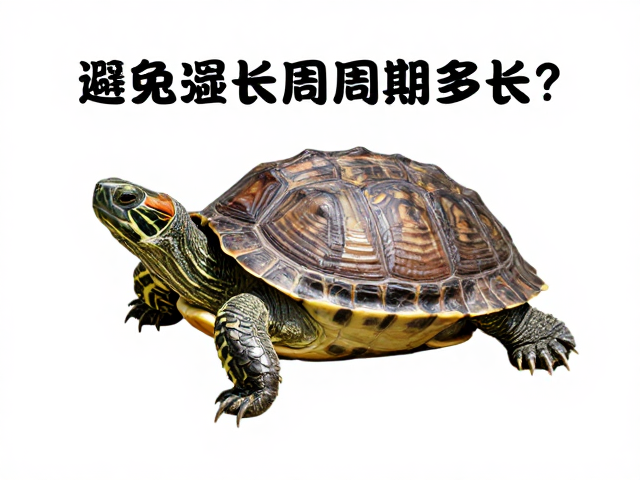 乌龟蜕皮周期多长?通风良好,定期评估健康指标,助龟快速恢复