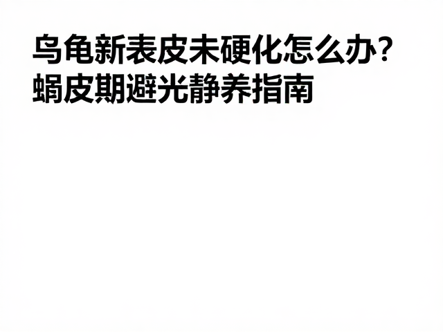 乌龟新表皮未硬化怎么办？蜕皮期避光静养指南