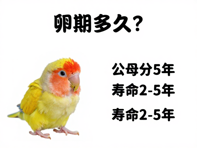 卵期多久？公母分辨指南，寿命2-5年，新手必看饲养攻略