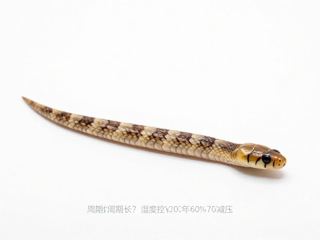 蛇蜕皮周期长?湿度控60%-70%,减压,加速蜕皮不粘皮