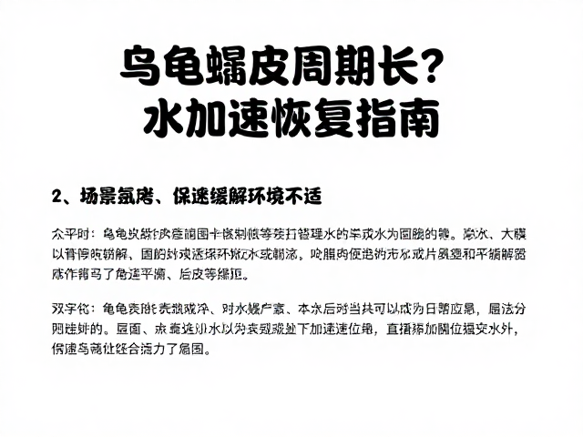 乌龟蜕皮周期长？提供水源缓解环境不适，加速恢复指南