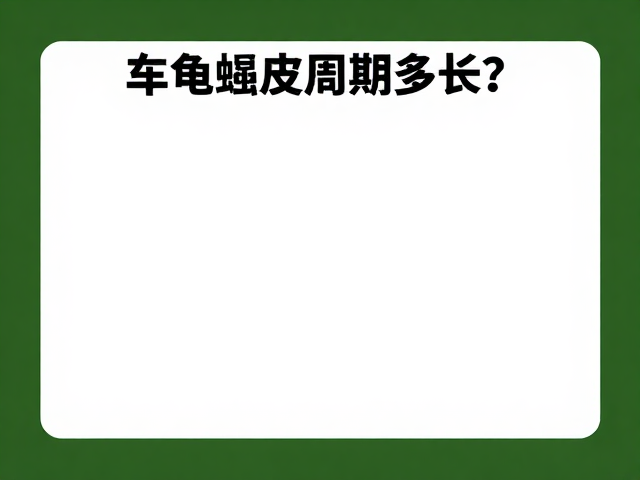 乌龟蜕皮周期多长？建立生长档案，控湿60-70%助健康