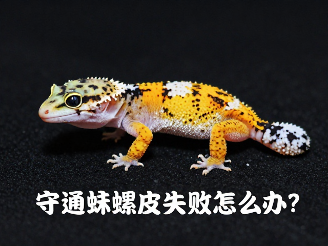守宫蜕皮失败怎么办？夜行性宠物蜕皮周期详解与急救指南
