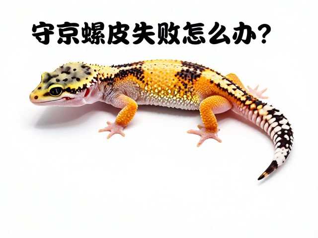 守宫蜕皮失败怎么办？夜行性宠物蜕皮周期详解与急救指南