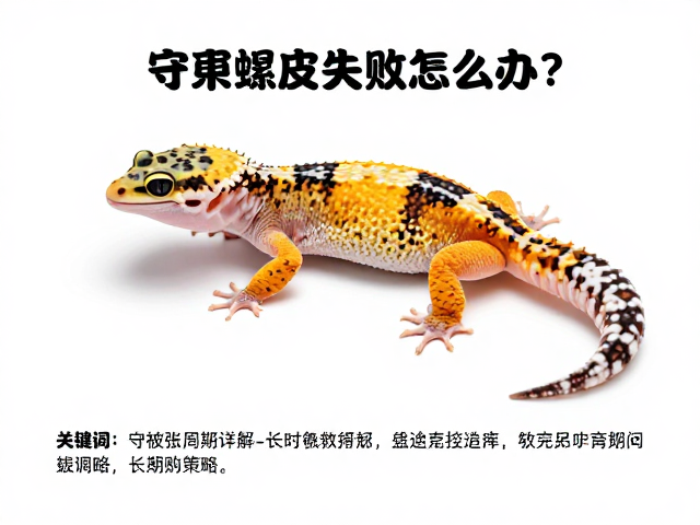 守宫蜕皮失败怎么办？夜行性宠物蜕皮周期详解与急救指南