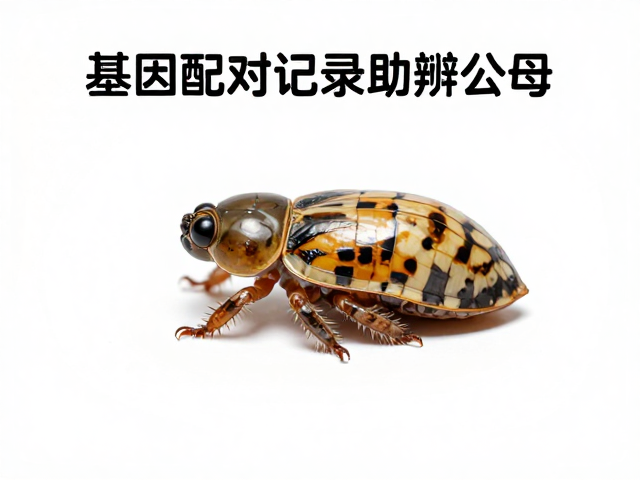 基因配对记录助辨公母，解决蜕皮困难