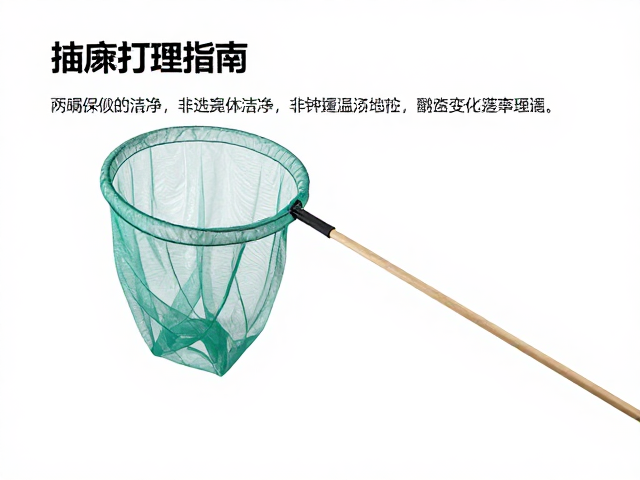 捕虫网使用后清洁打理指南,如何保持洁净并避免体重变化误区