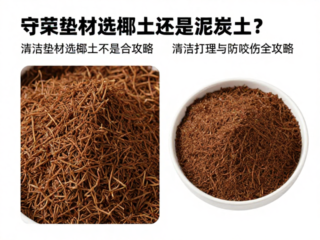 守宫垫材选椰土还是泥炭土？清洁打理与防咬伤全攻略