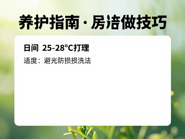 养护指南，日间25-28℃清洁打理，避光防损技巧