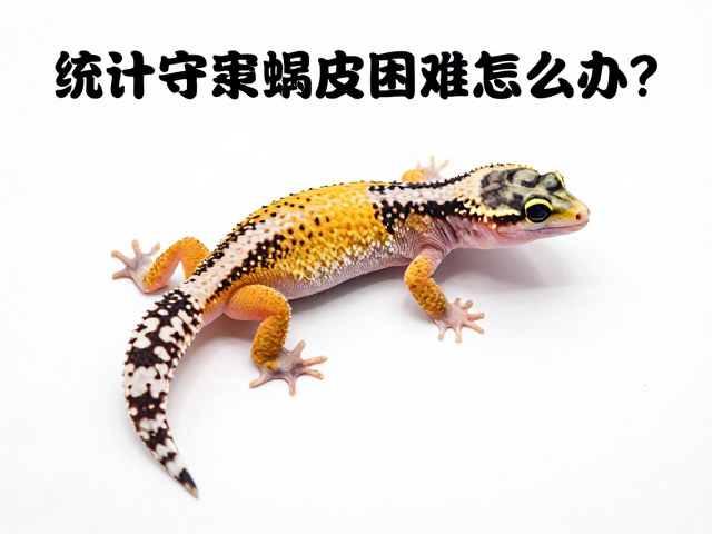 守宫蜕皮困难怎么办？统计生长周期助你精准计算蜕皮周期