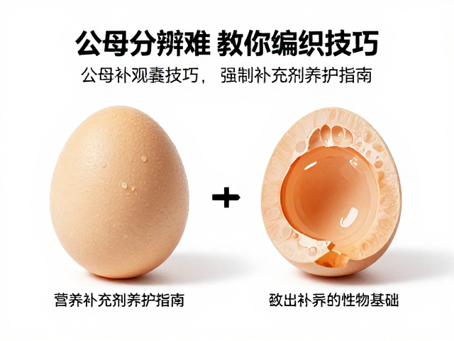 公母分辨难？教你卵囊编织技巧，营养补充剂养护指南