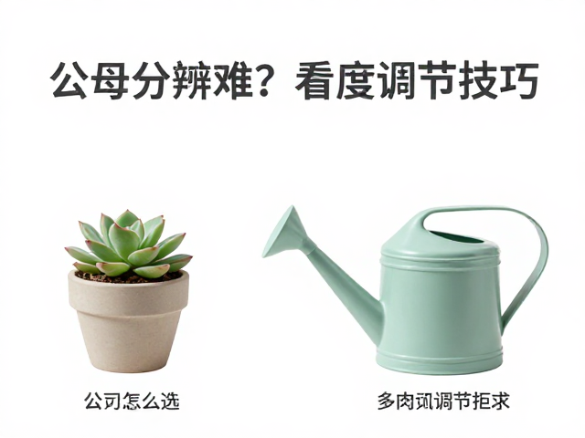 多肉喷壶怎么选?公母分辨难?看湿度调节技巧