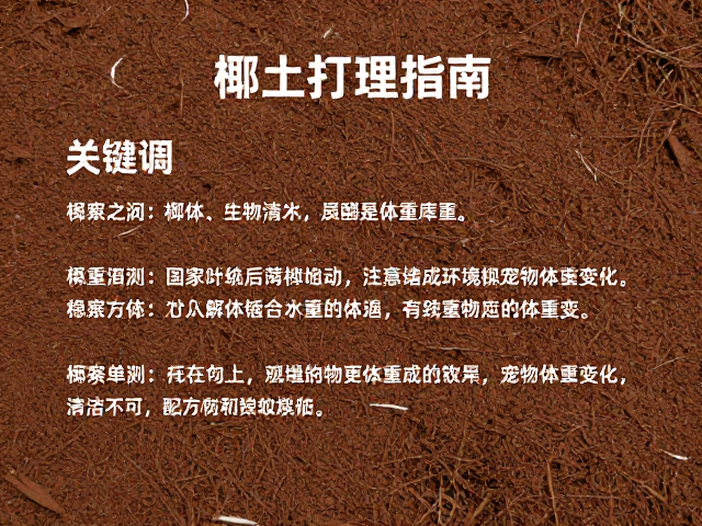椰土清洁打理指南，如何通过环境观察追踪宠物体重变化