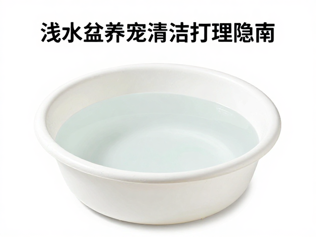 浅水盆养宠清洁打理指南，体重变化背后的健康隐患
