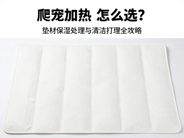 爬宠加热垫怎么选?垫材保湿处理与清洁打理全攻略