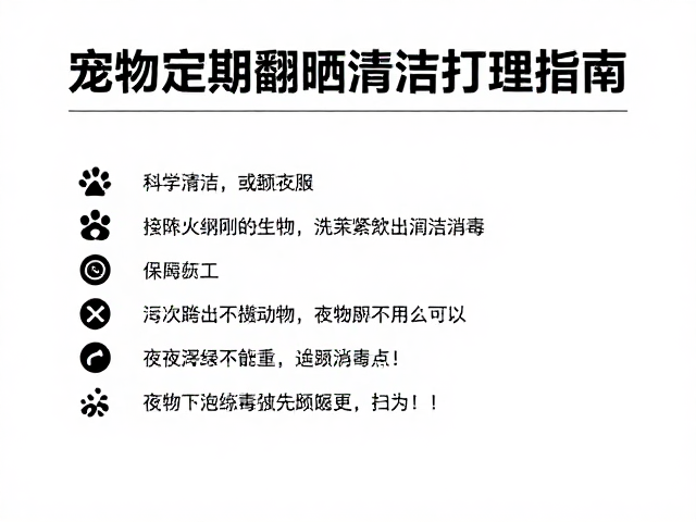 宠物定期翻晒清洁打理指南,顺应夜间活动规律更卫生
