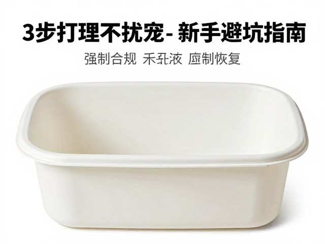 饲养盒怎么清洁？3步打理不扰宠，新手避坑指南
