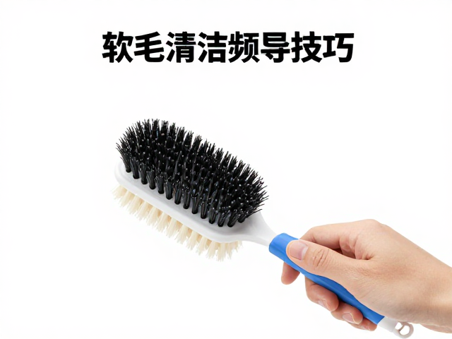 宠物清洁打理技巧，软毛刷引导与定期喂食频率全解析