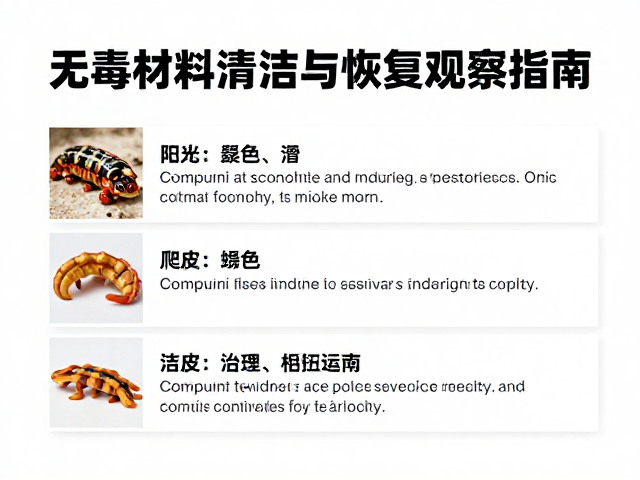 无毒材料选什么？爬宠蜕皮后清洁打理与恢复观察指南