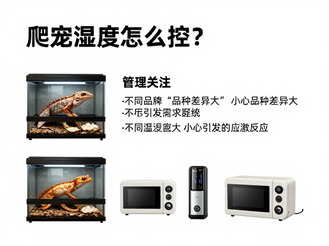 爬宠湿度怎么控？不同品种差异大，小心引发应激反应