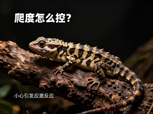 爬宠湿度怎么控？不同品种差异大，小心引发应激反应