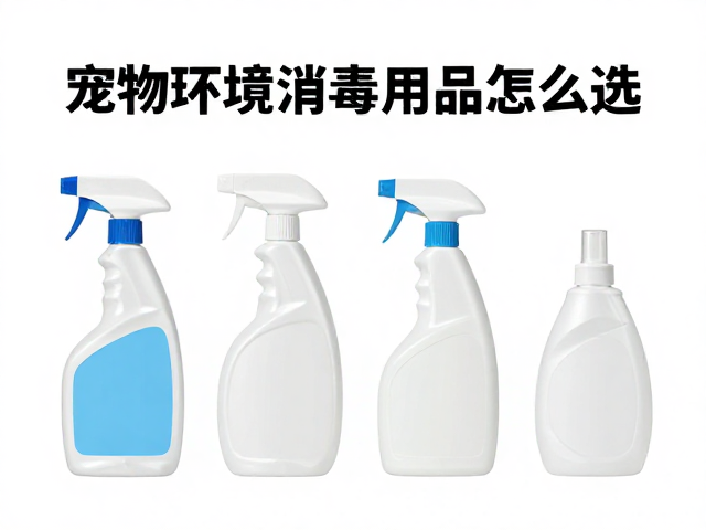 宠物环境消毒用品怎么选?观察活跃度与清洁打理全攻略