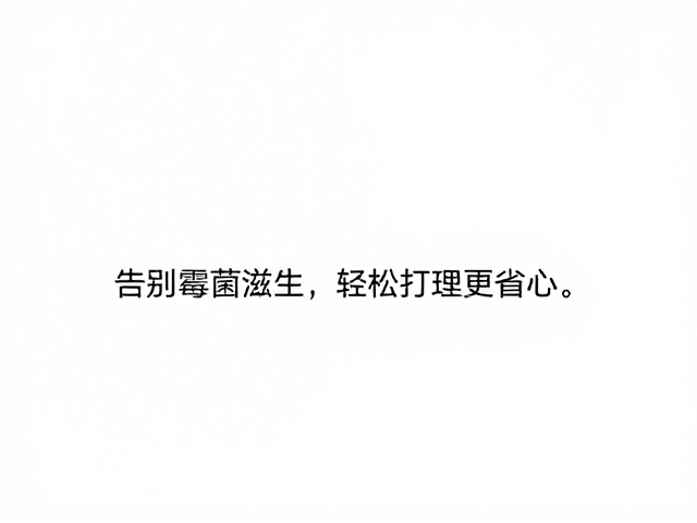 简单清洁防霉攻略，告别霉菌滋生，轻松打理更省心