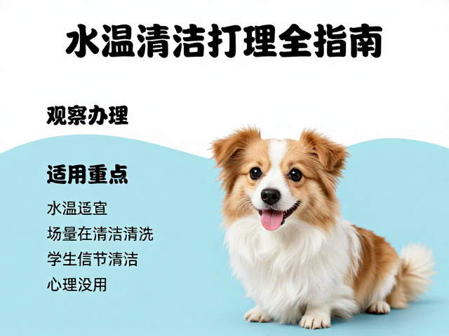 水温适宜，观察活跃度，宠物清洁打理全指南