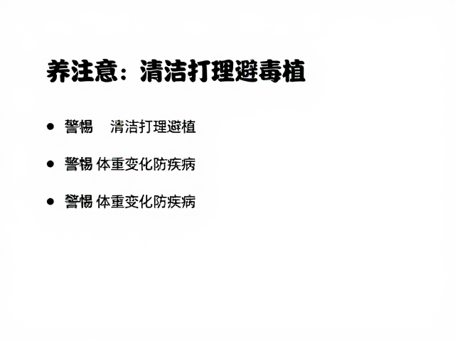 养猫注意，清洁打理避毒植，警惕体重变化防疾病