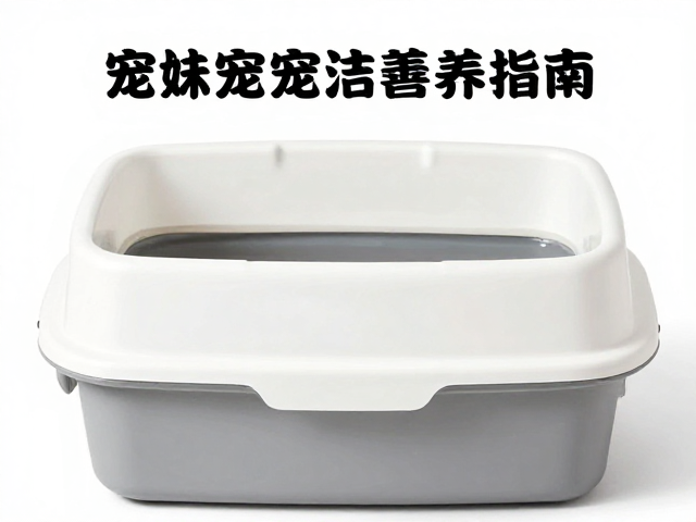 饲养盒清洁打理与终末期关怀指南,守护宠物最后时光