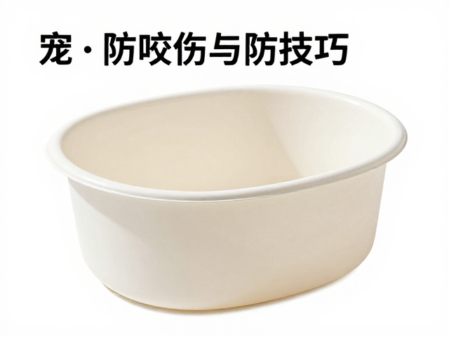 清洁打理防咬伤，宠物容器擦拭指南与避坑技巧