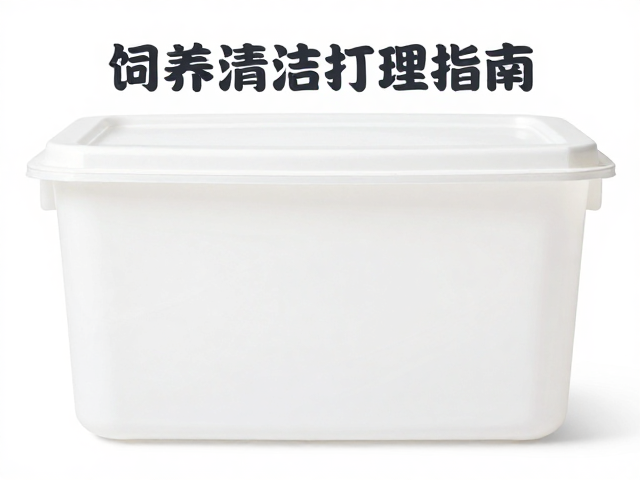 饲养盒清洁打理指南，记录体重变化，打造健康饲养环境