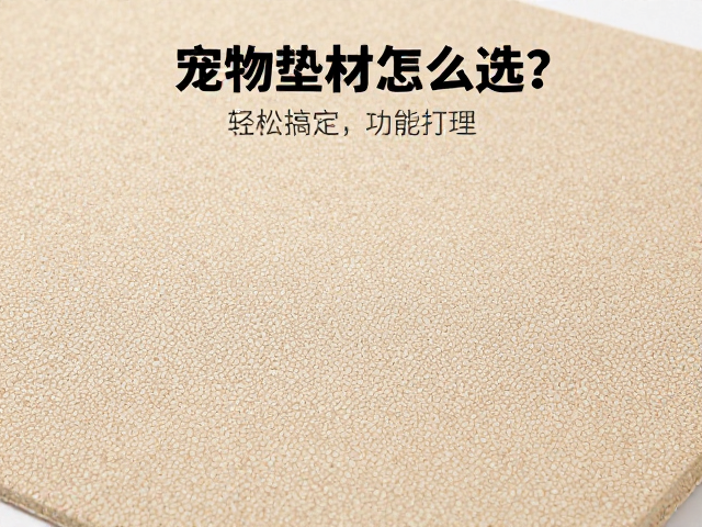 宠物垫材怎么选？配合活动监测，轻松搞定日常清洁打理