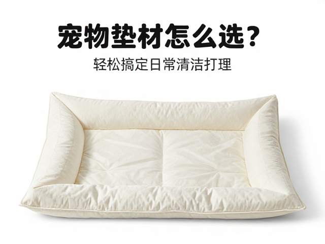 宠物垫材怎么选?配合活动监测,轻松搞定日常清洁打理