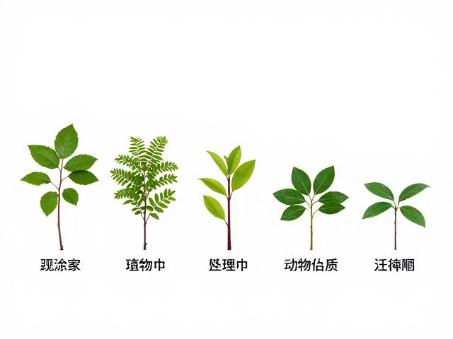 植物生长周期记录，清洁打理与活跃度观察指南